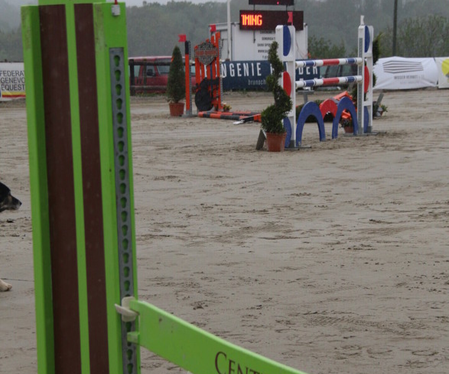 Description de l'image