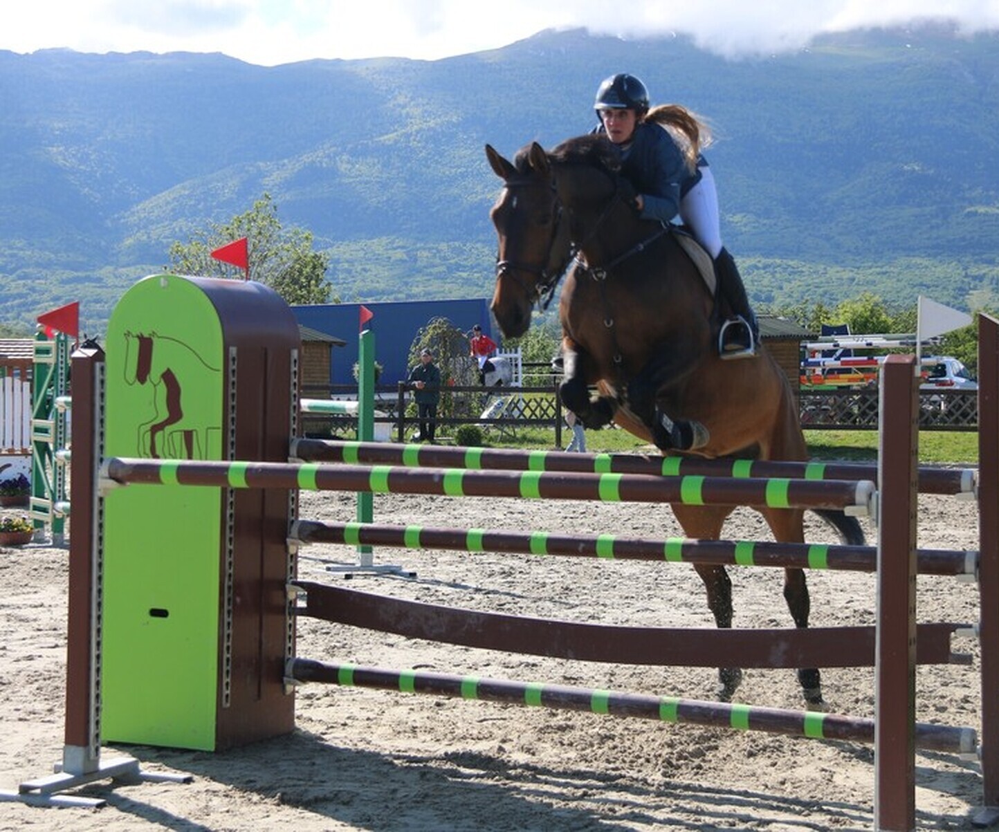 Description de l'image