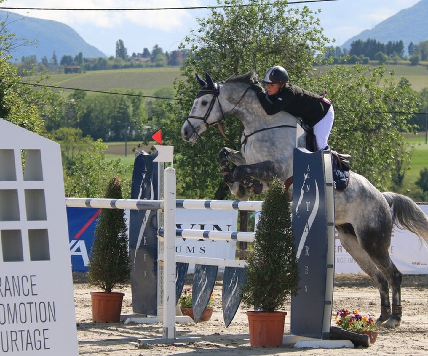 Description de l'image