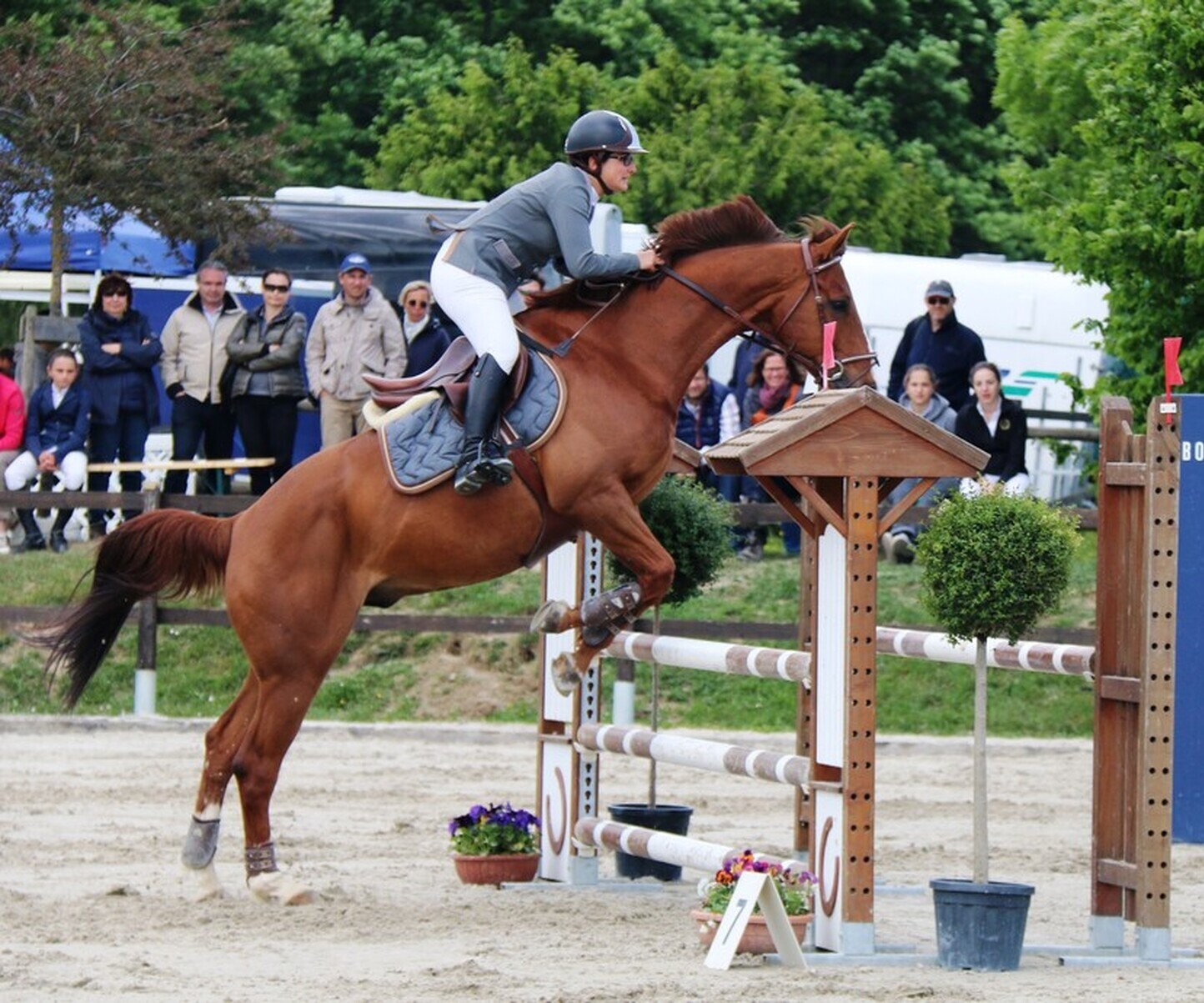 Description de l'image