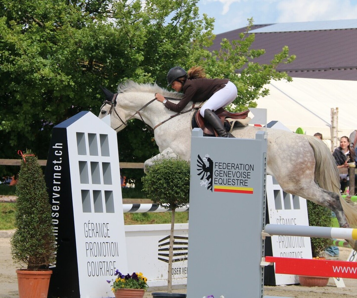 Description de l'image