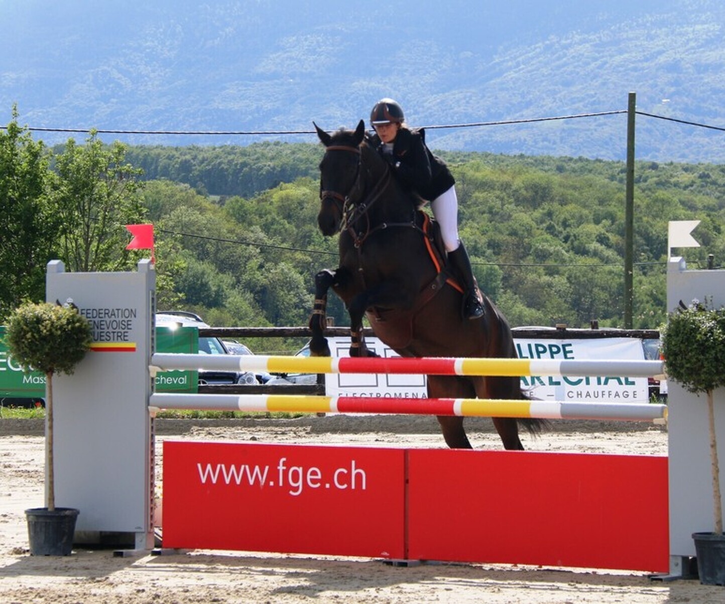 Description de l'image