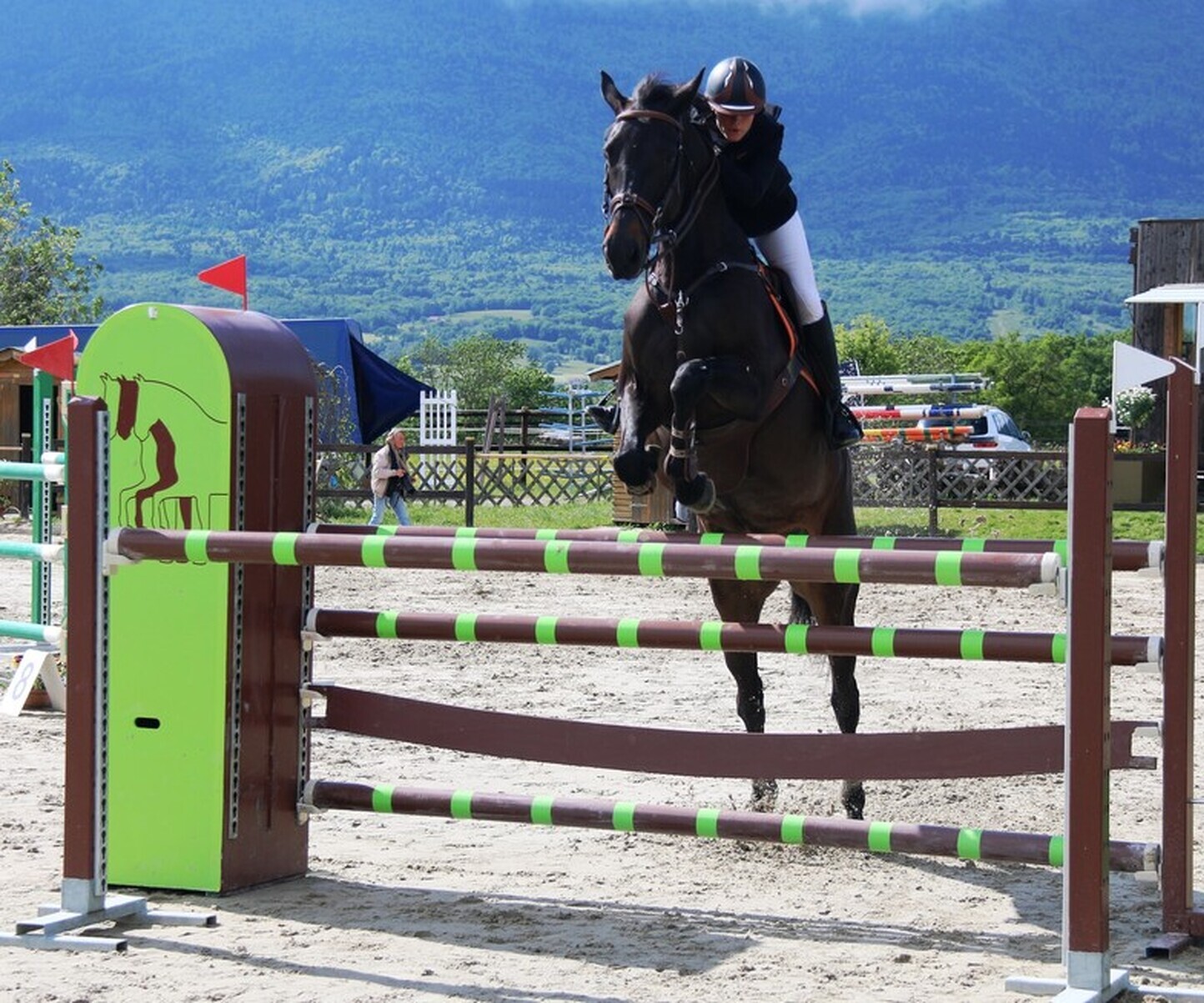 Description de l'image