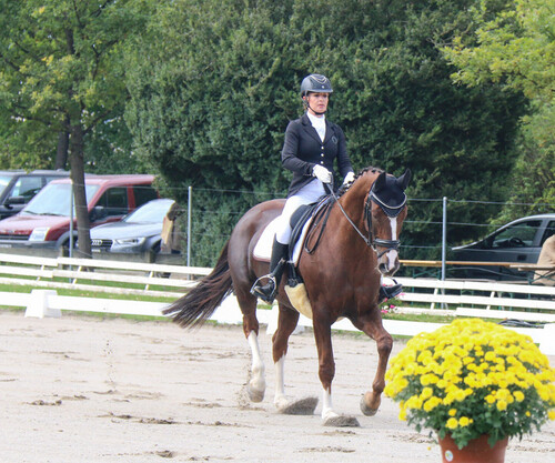 Finales Dressage Degré 2 Onex