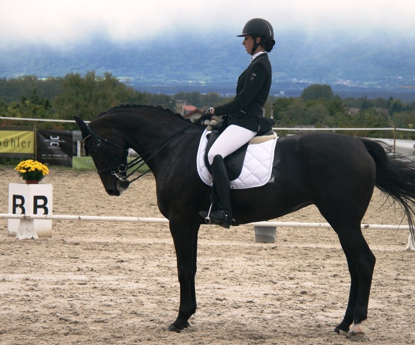 Description de l'image