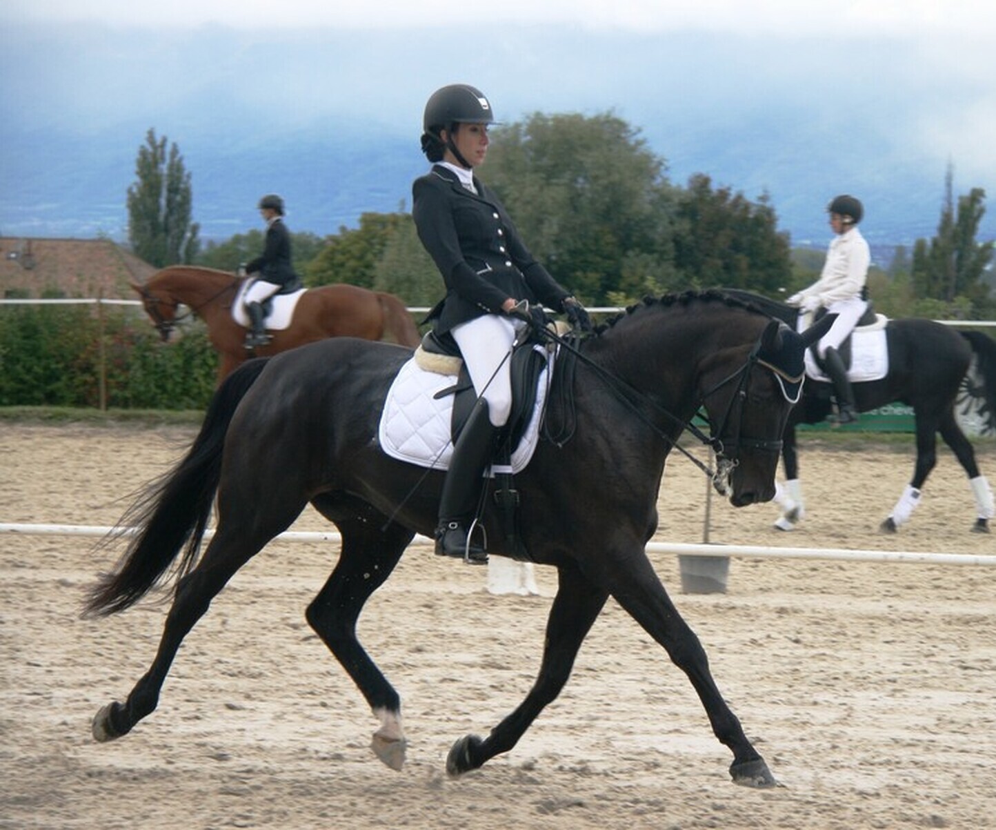 Description de l'image