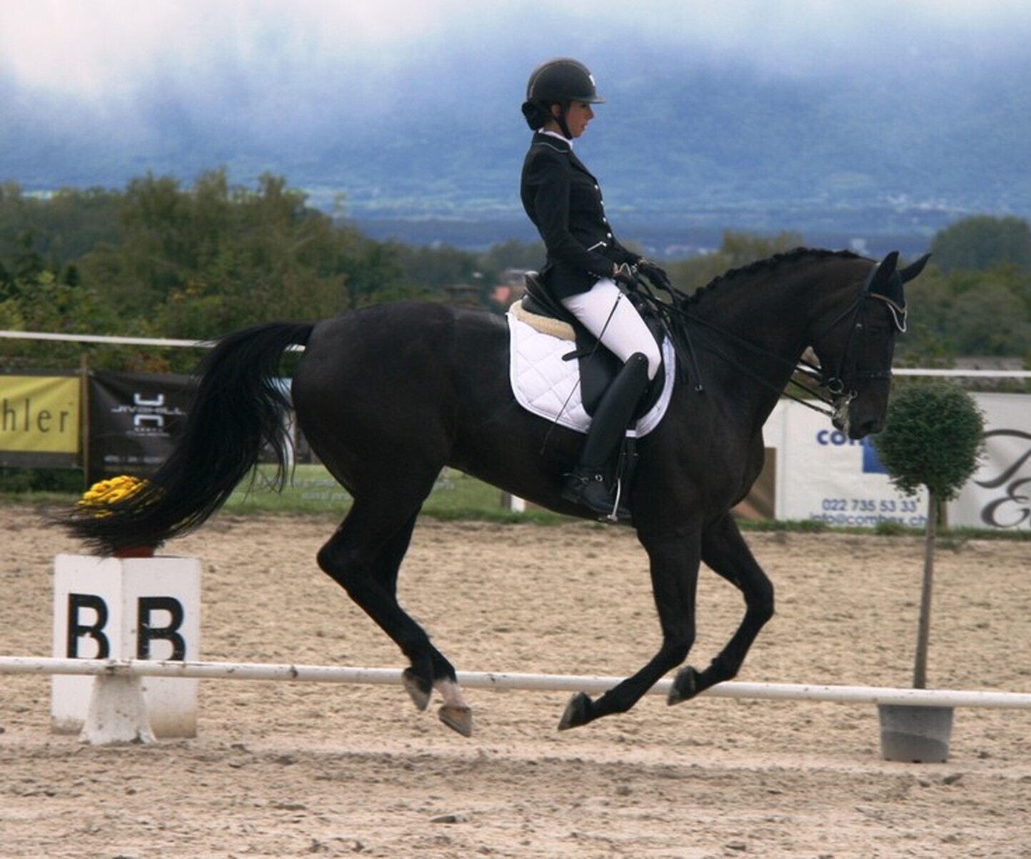 Description de l'image