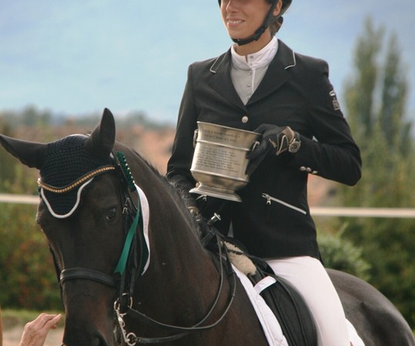 Description de l'image