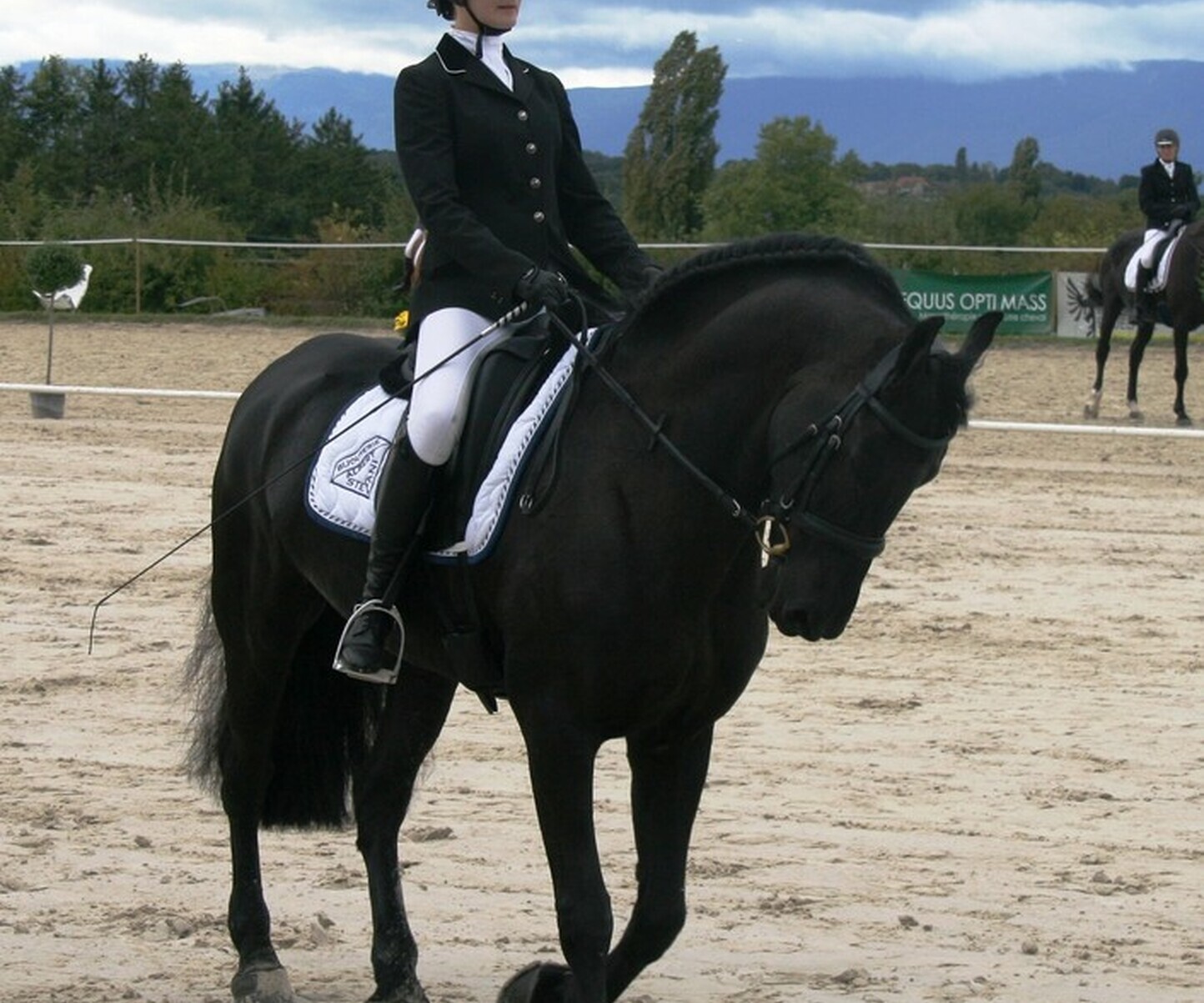 Description de l'image