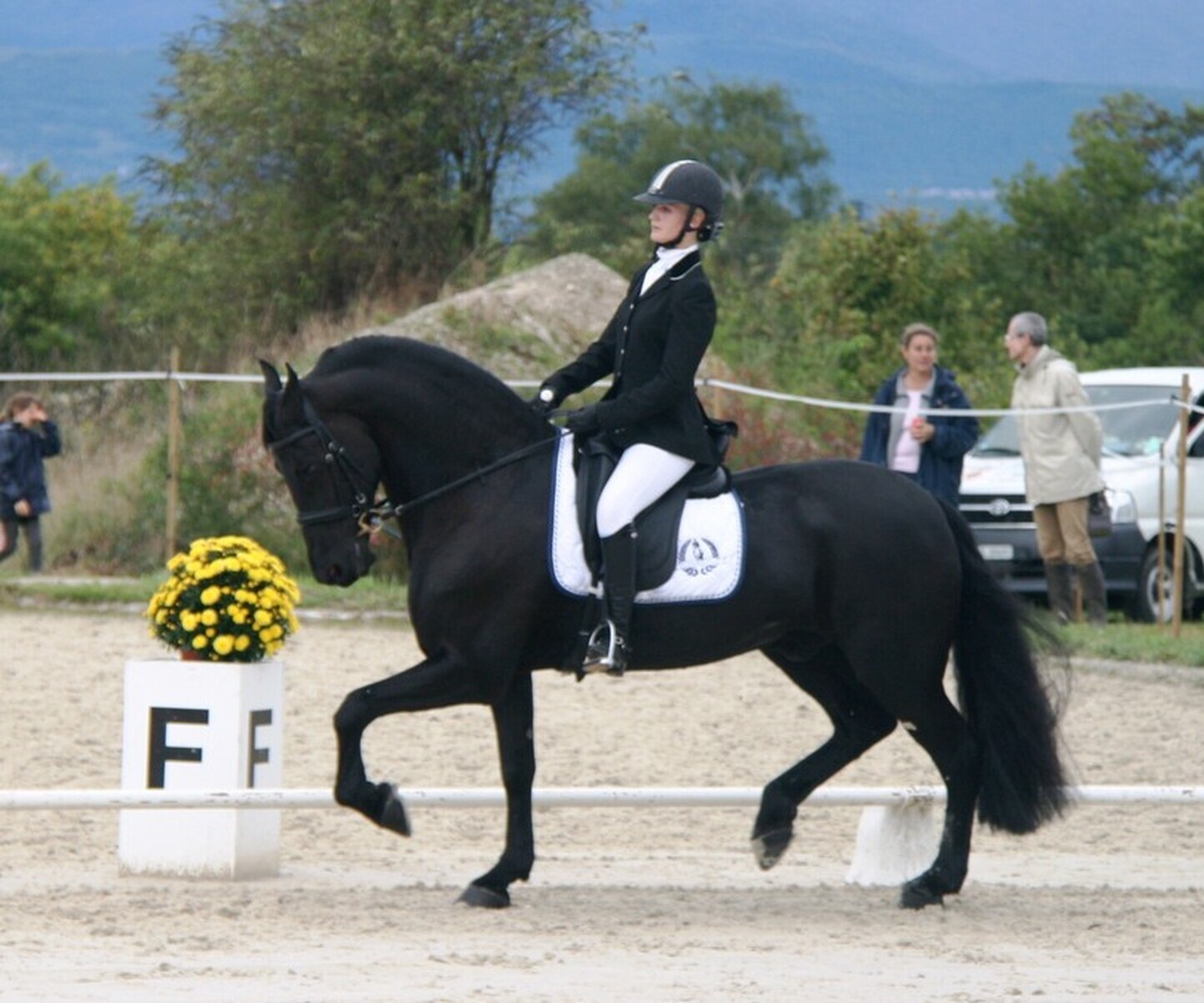 Description de l'image