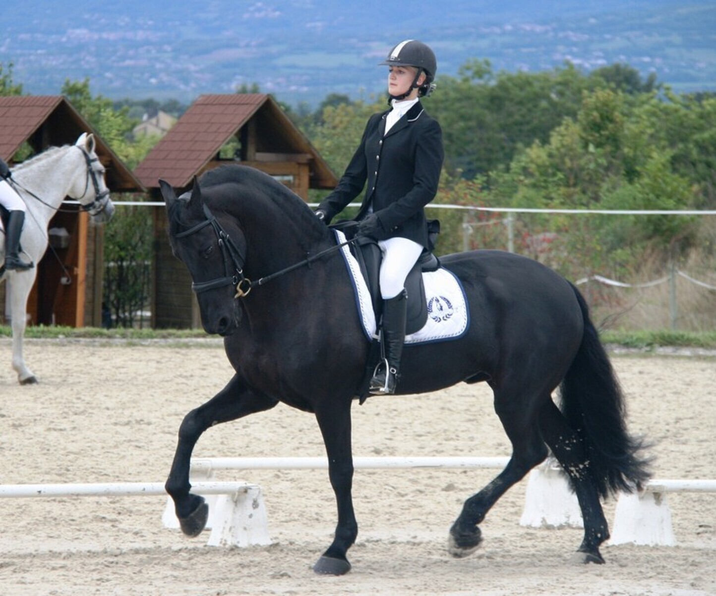 Description de l'image