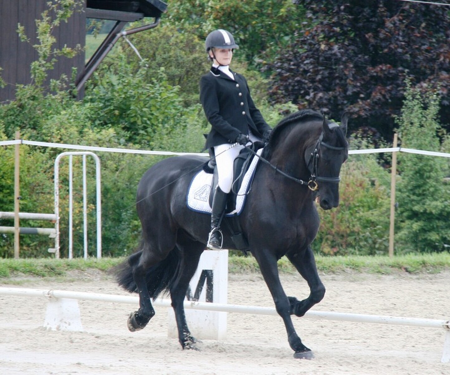 Description de l'image