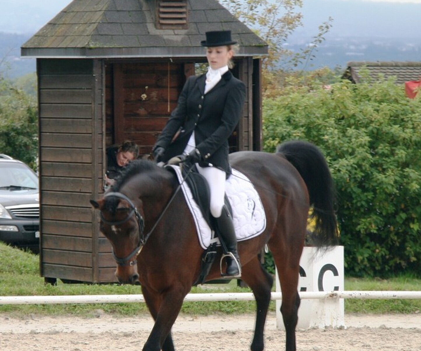 Description de l'image