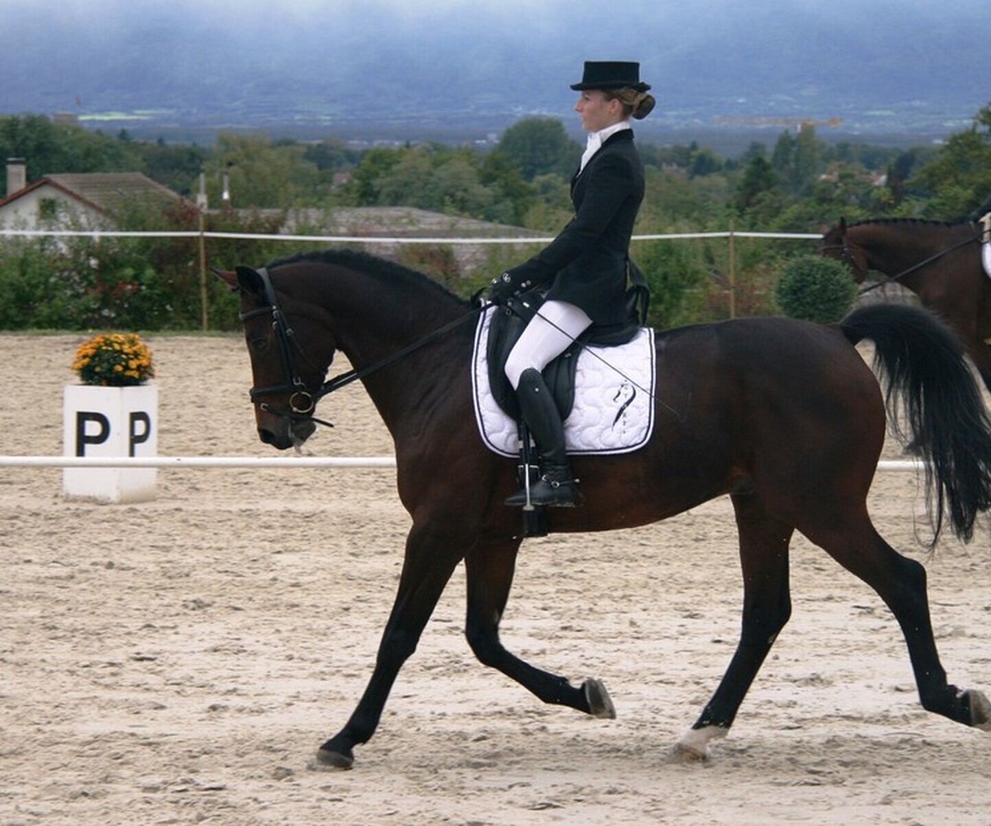 Description de l'image