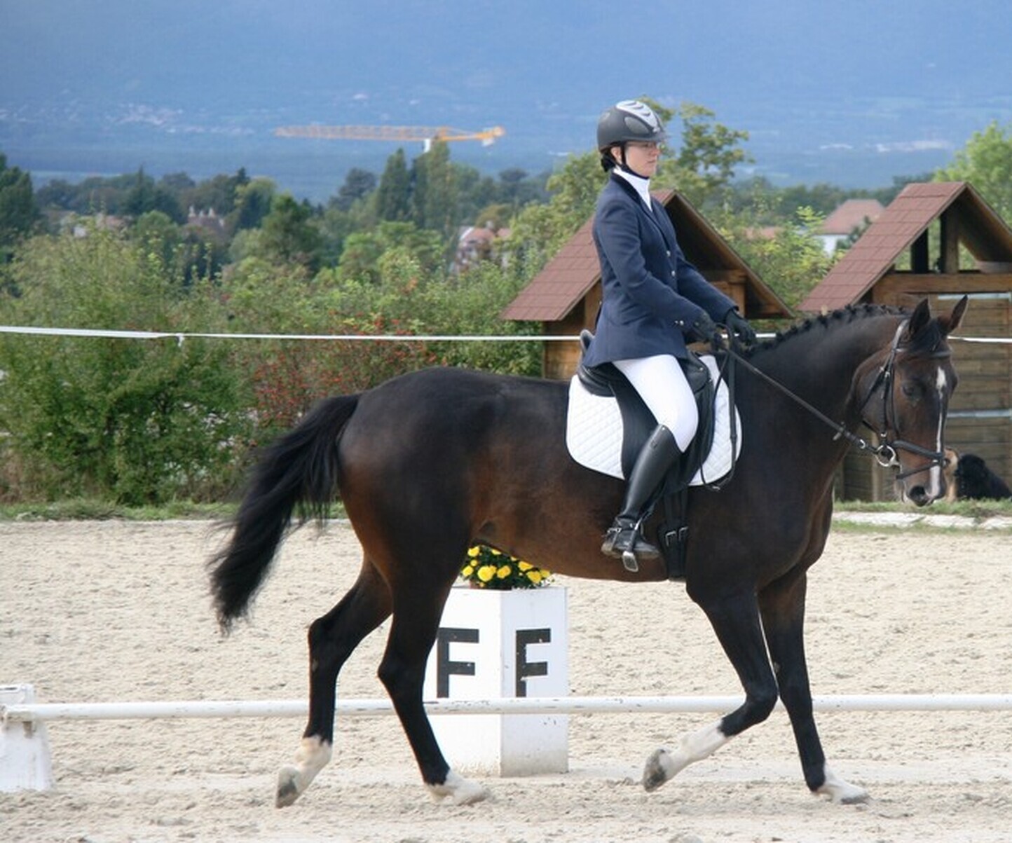 Description de l'image