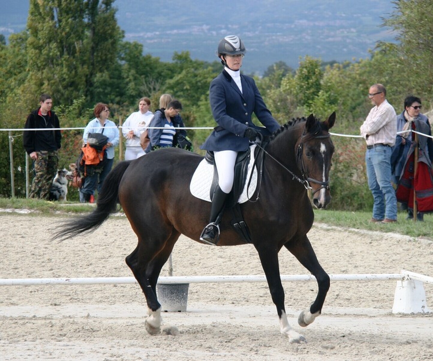 Description de l'image