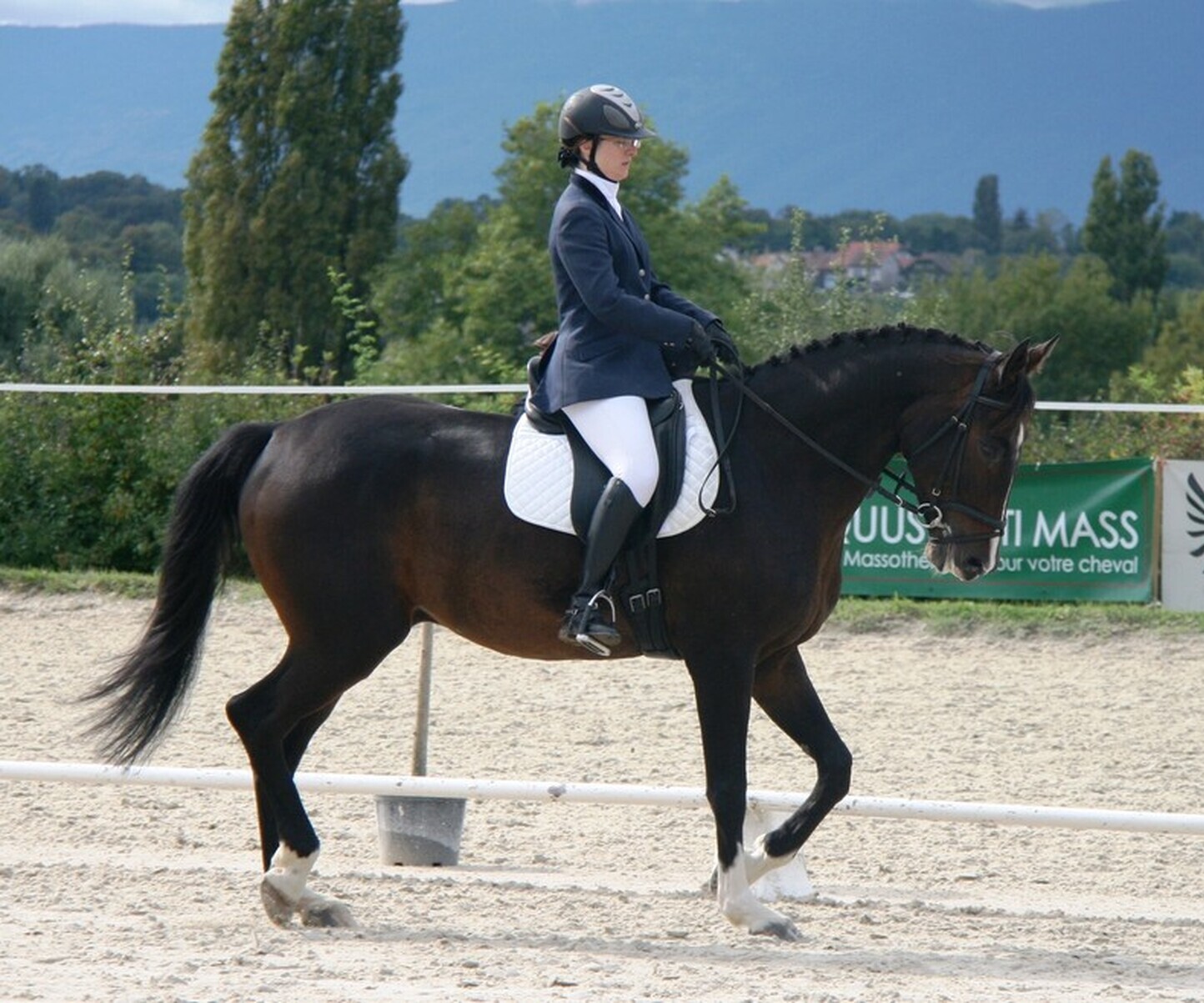 Description de l'image