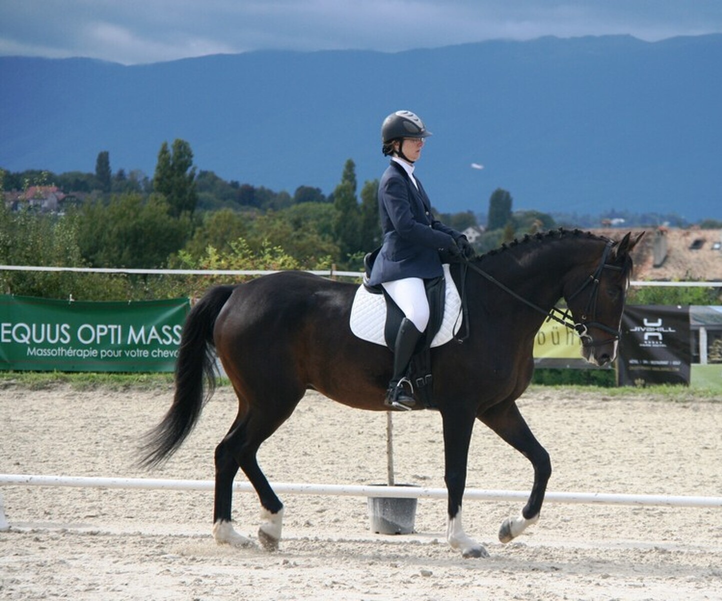 Description de l'image