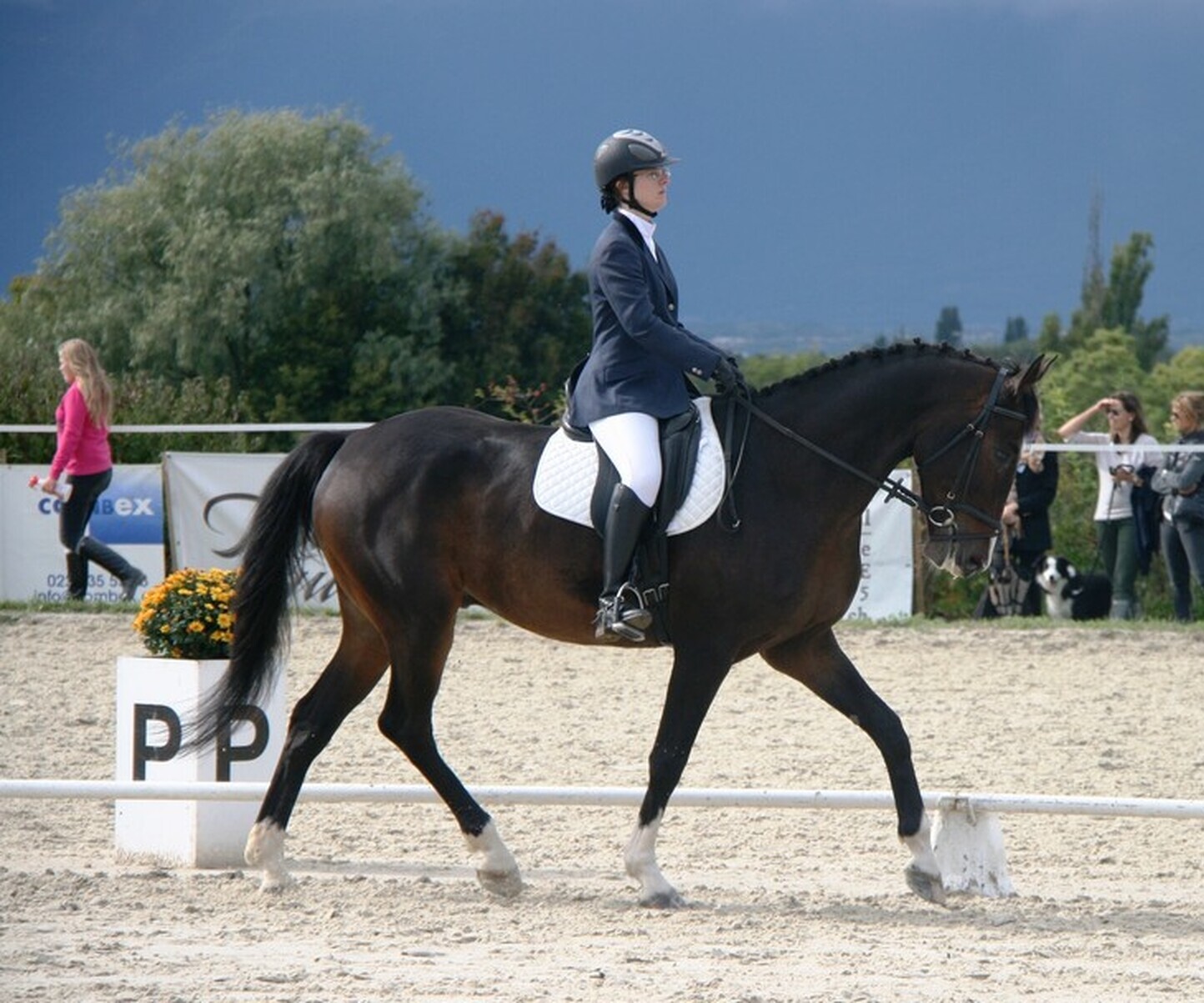 Description de l'image