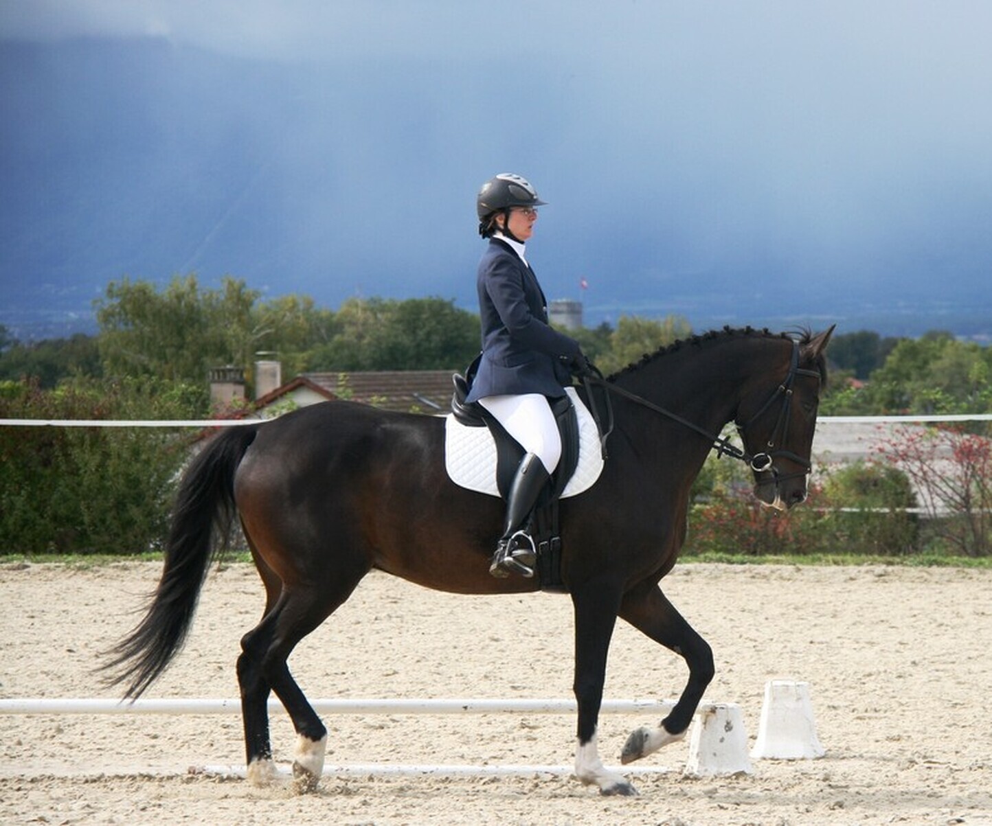 Description de l'image