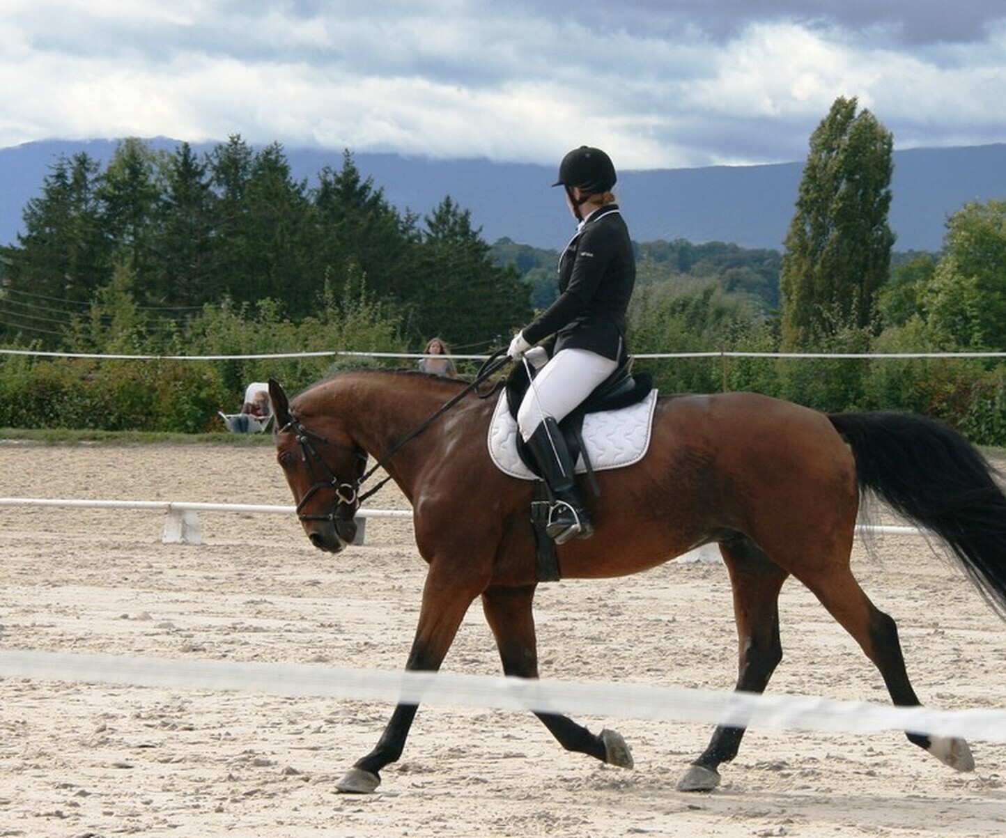 Description de l'image