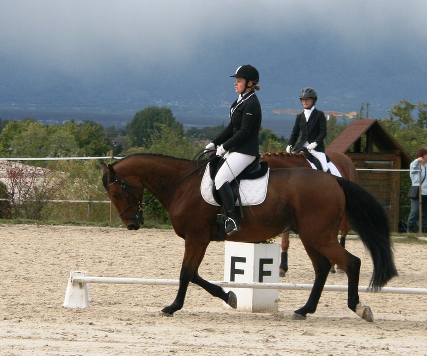 Description de l'image