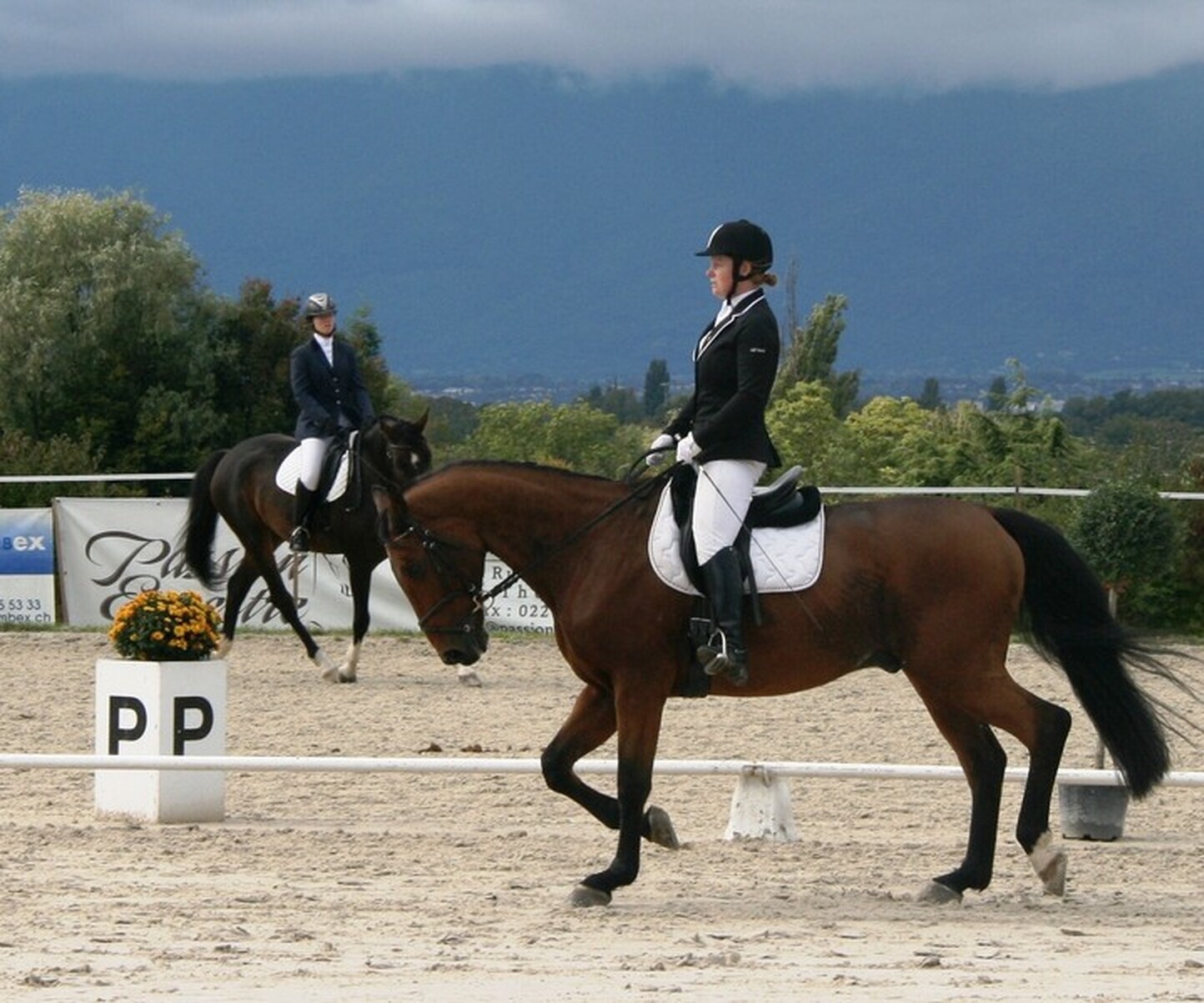 Description de l'image