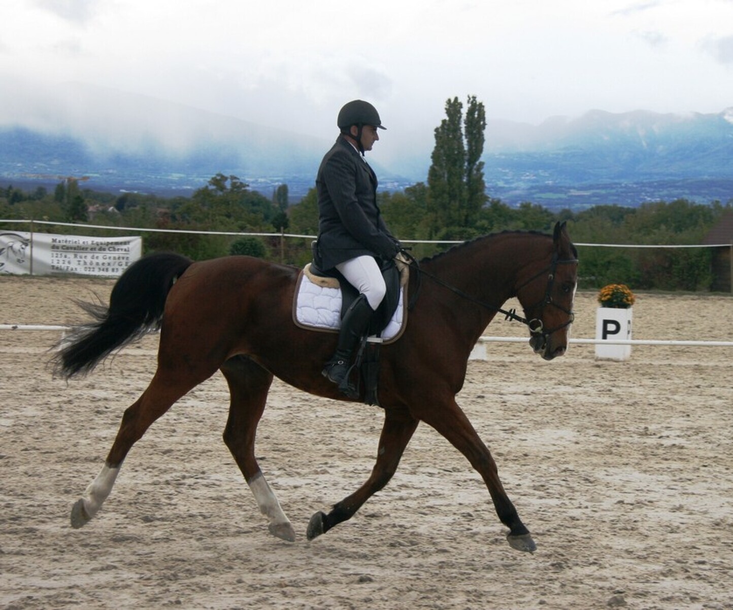 Description de l'image