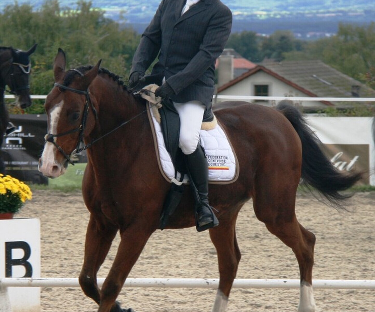 Description de l'image