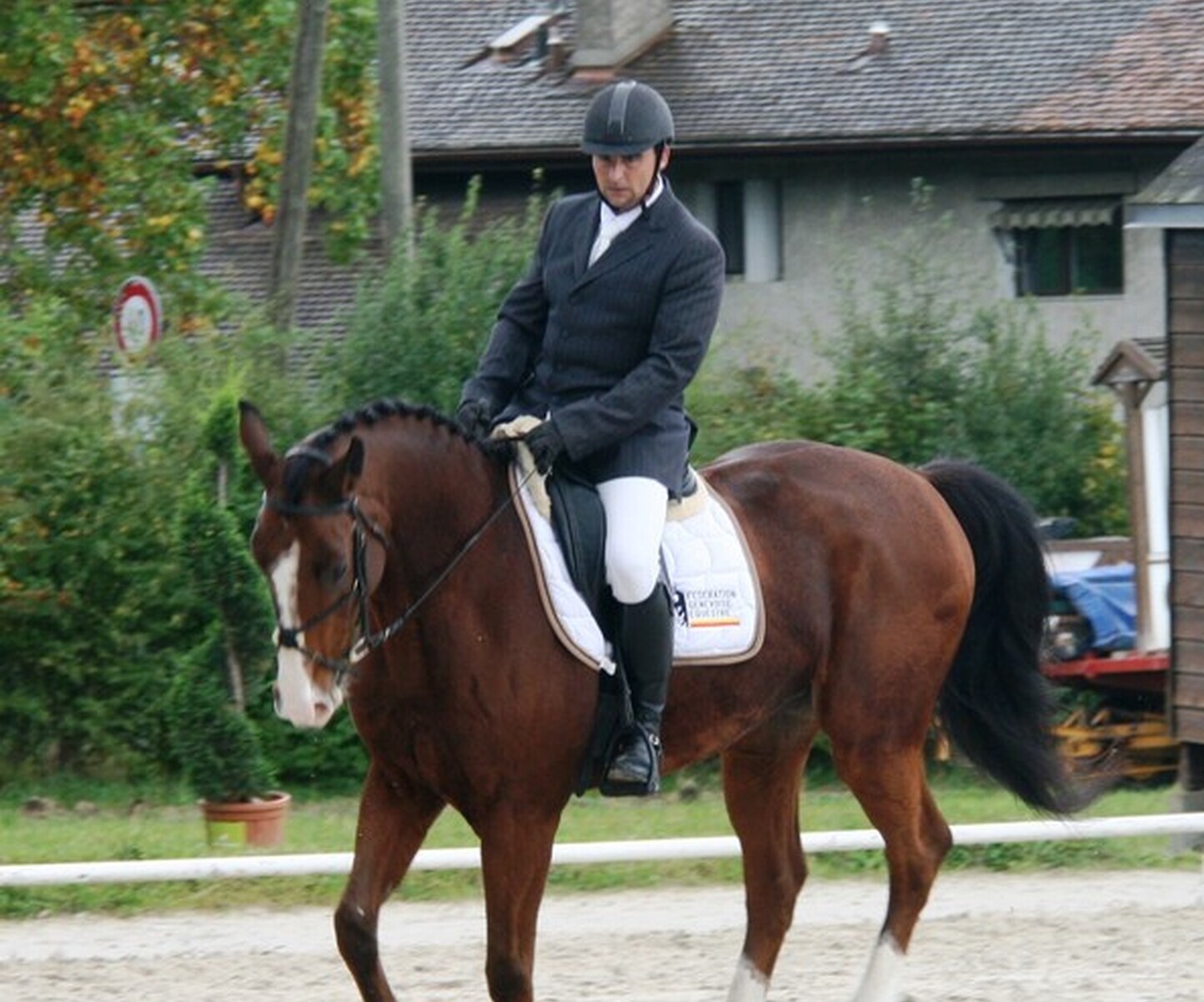 Description de l'image