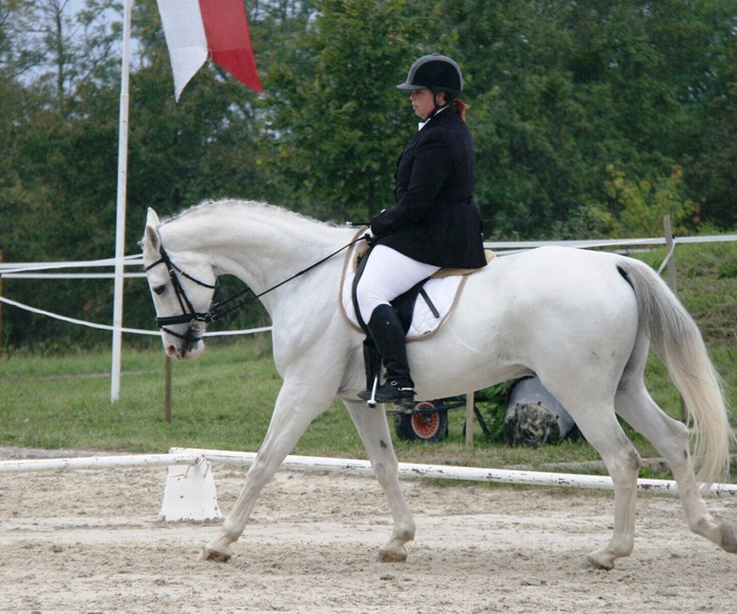 Description de l'image