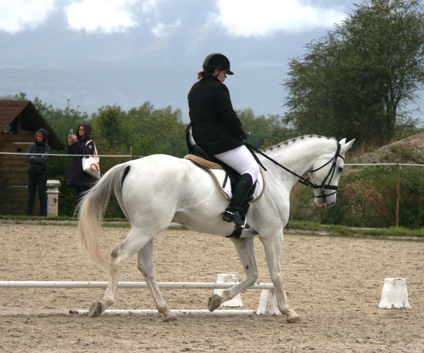 Description de l'image