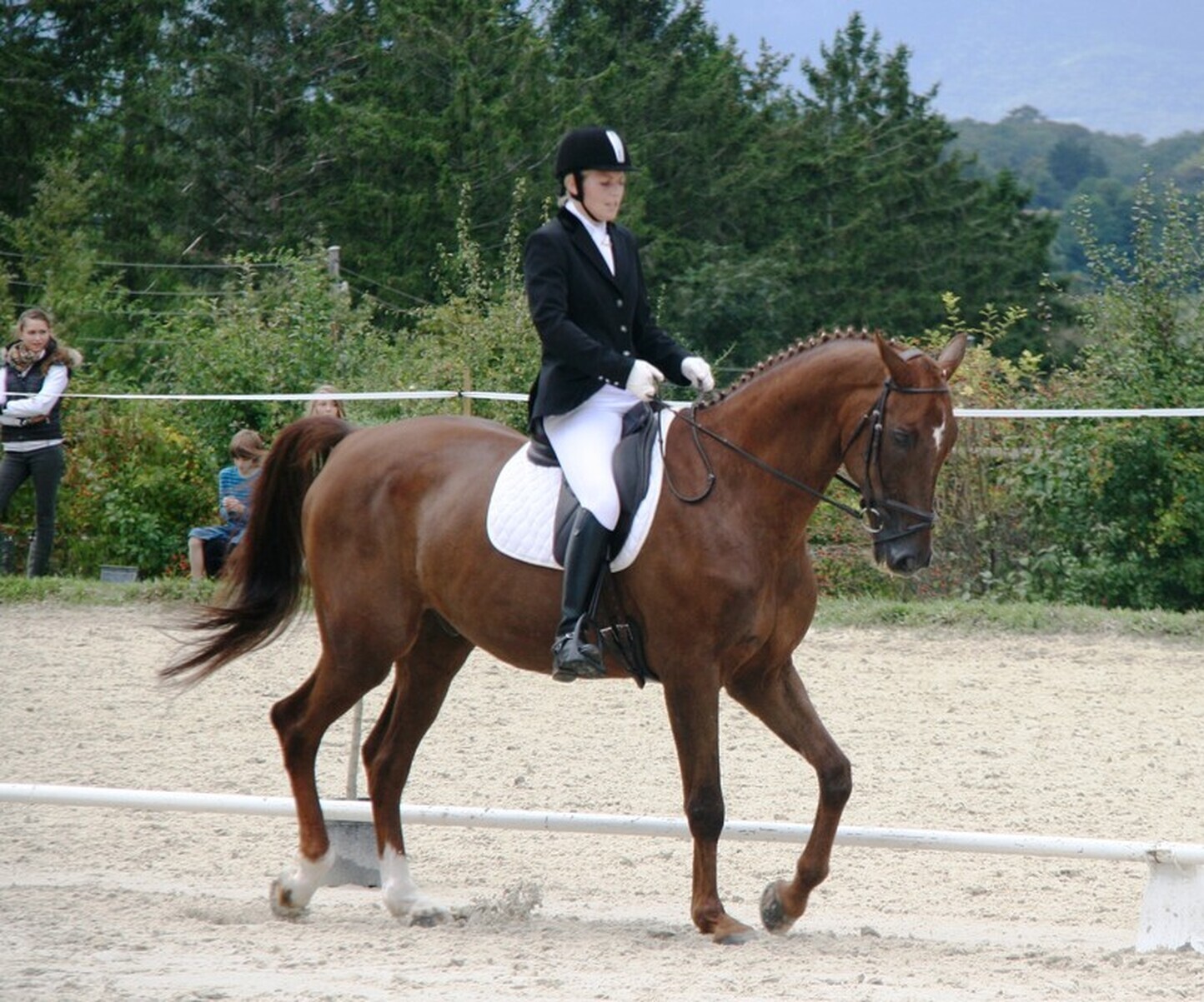 Description de l'image