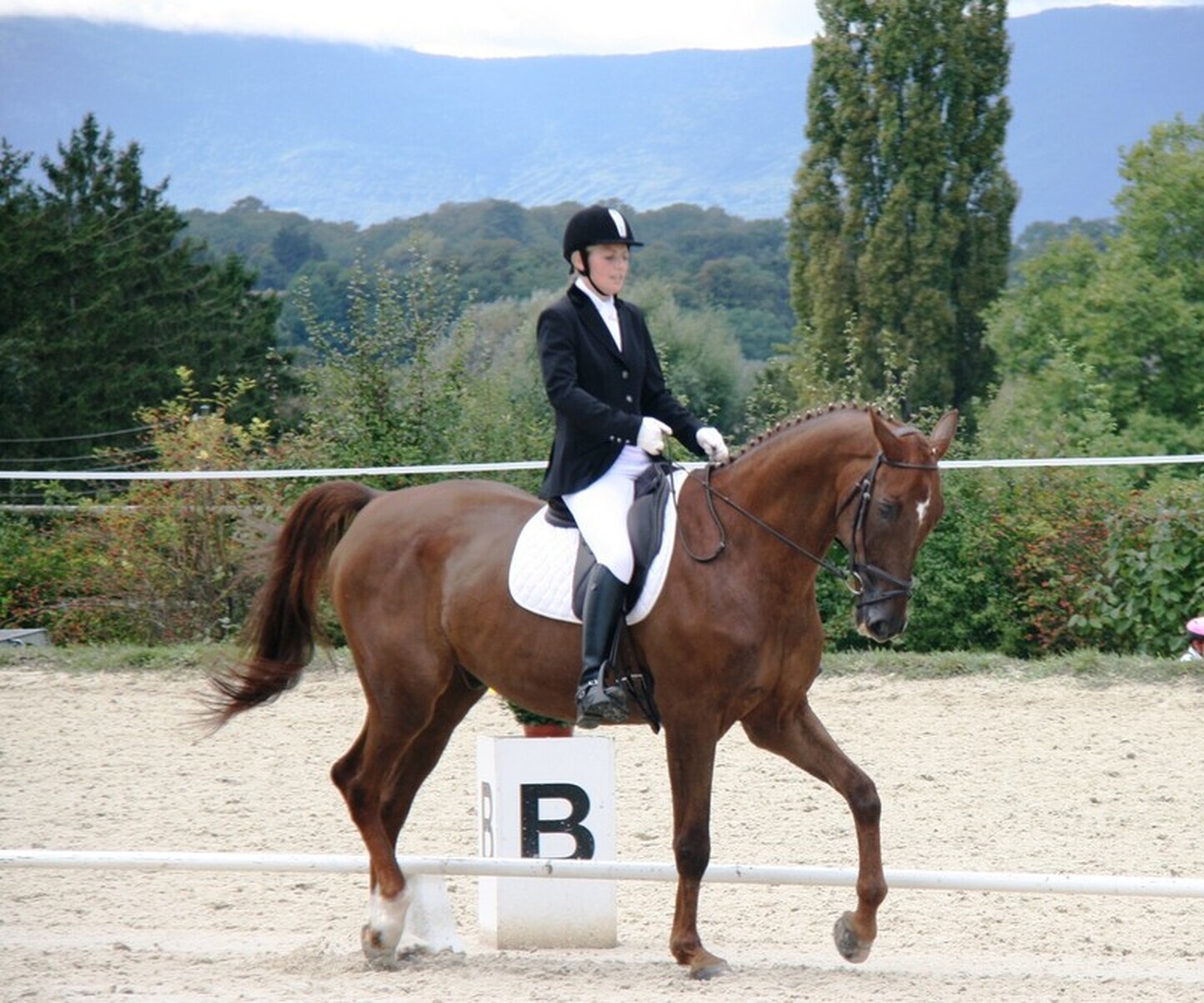 Description de l'image