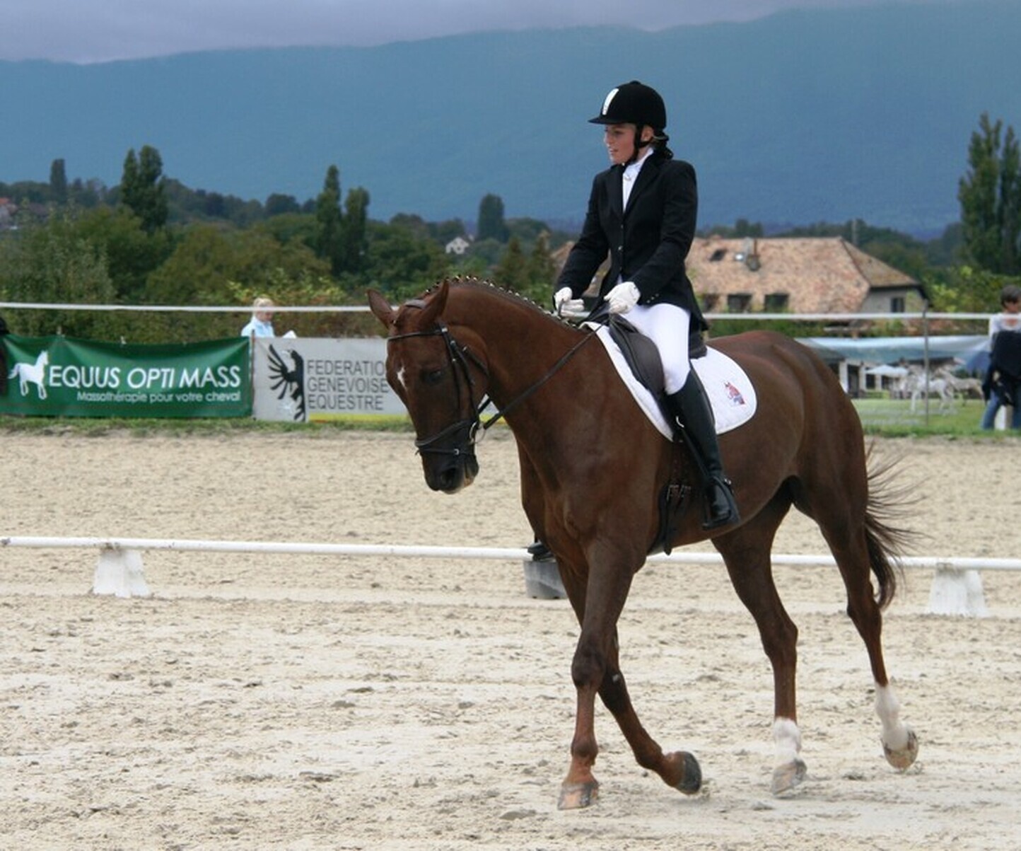 Description de l'image