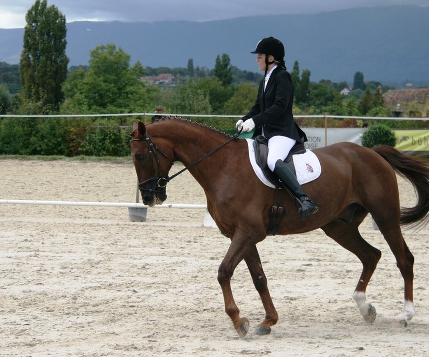 Description de l'image