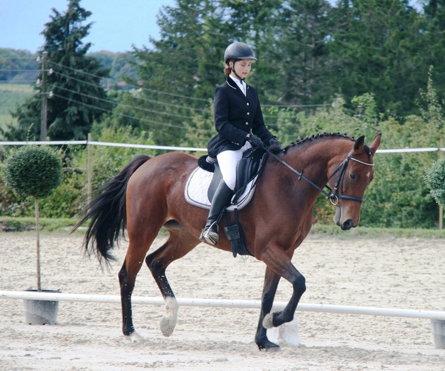 Description de l'image