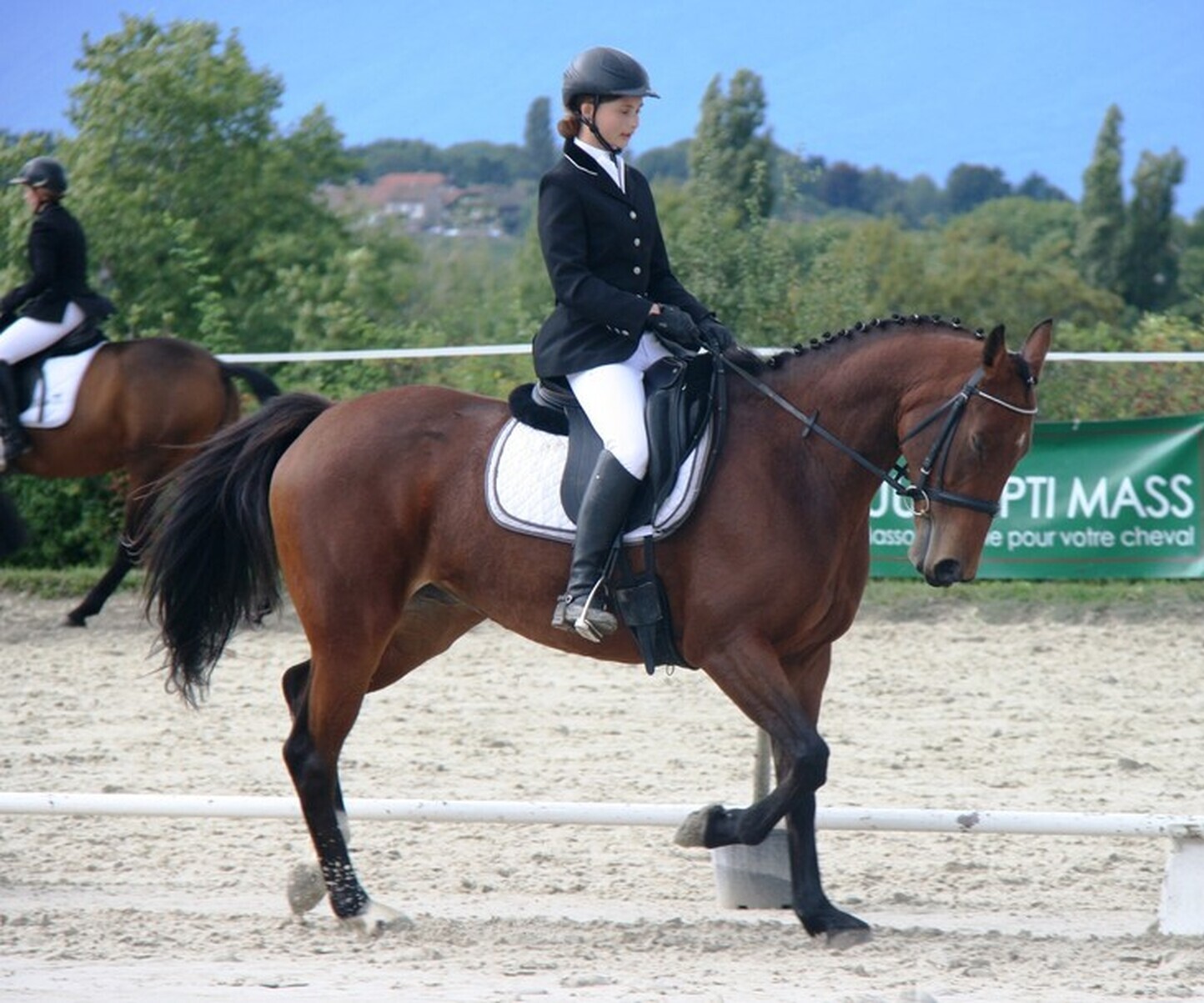 Description de l'image