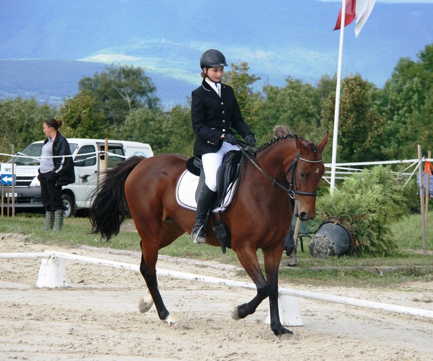 Description de l'image