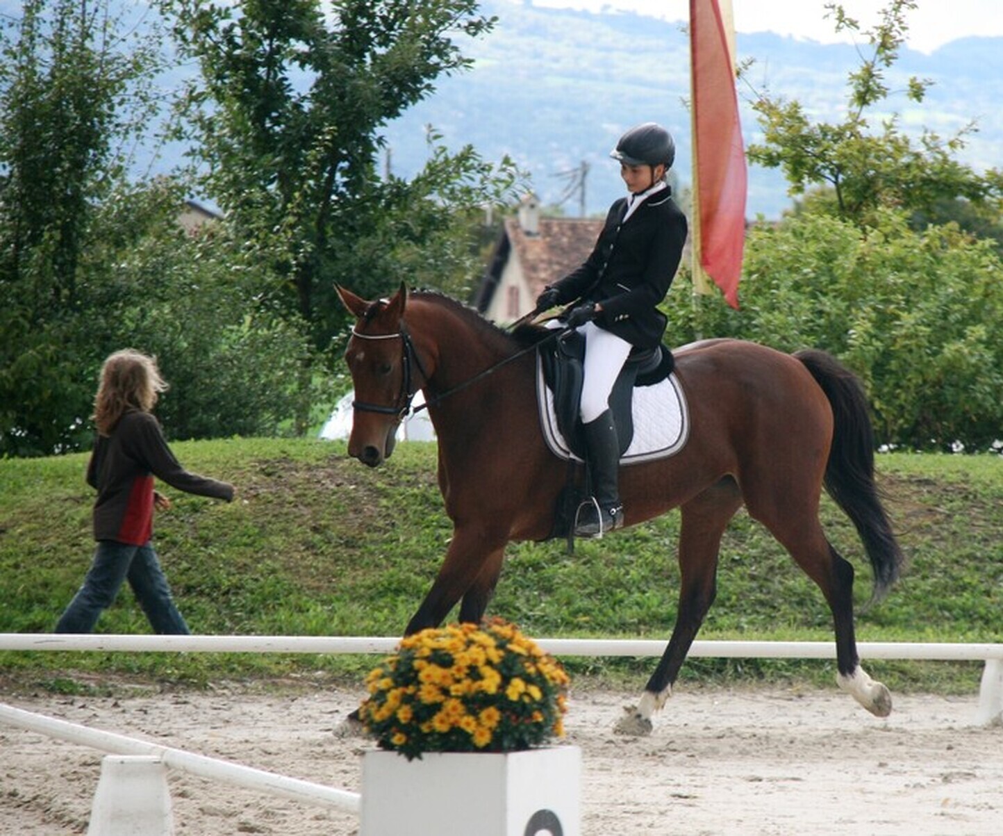 Description de l'image