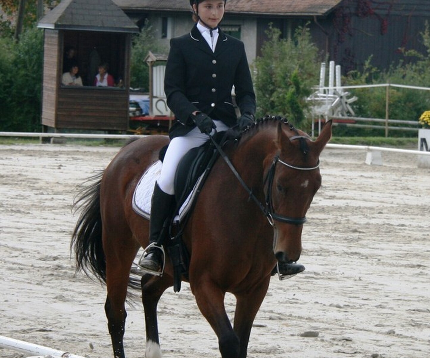 Description de l'image