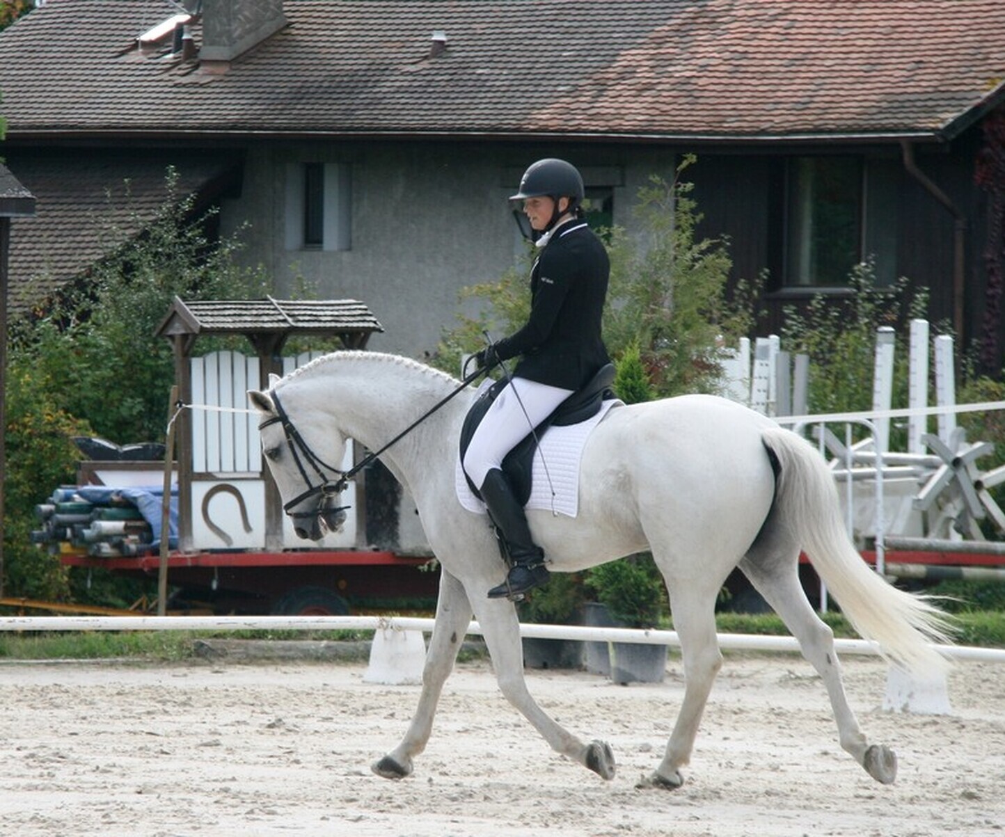 Description de l'image