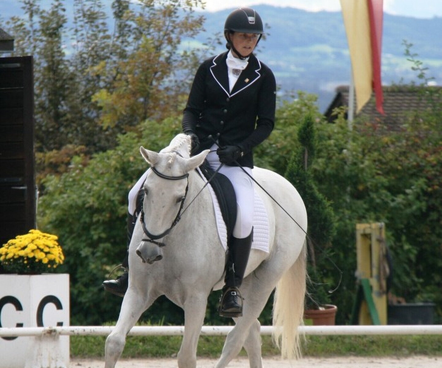 Description de l'image