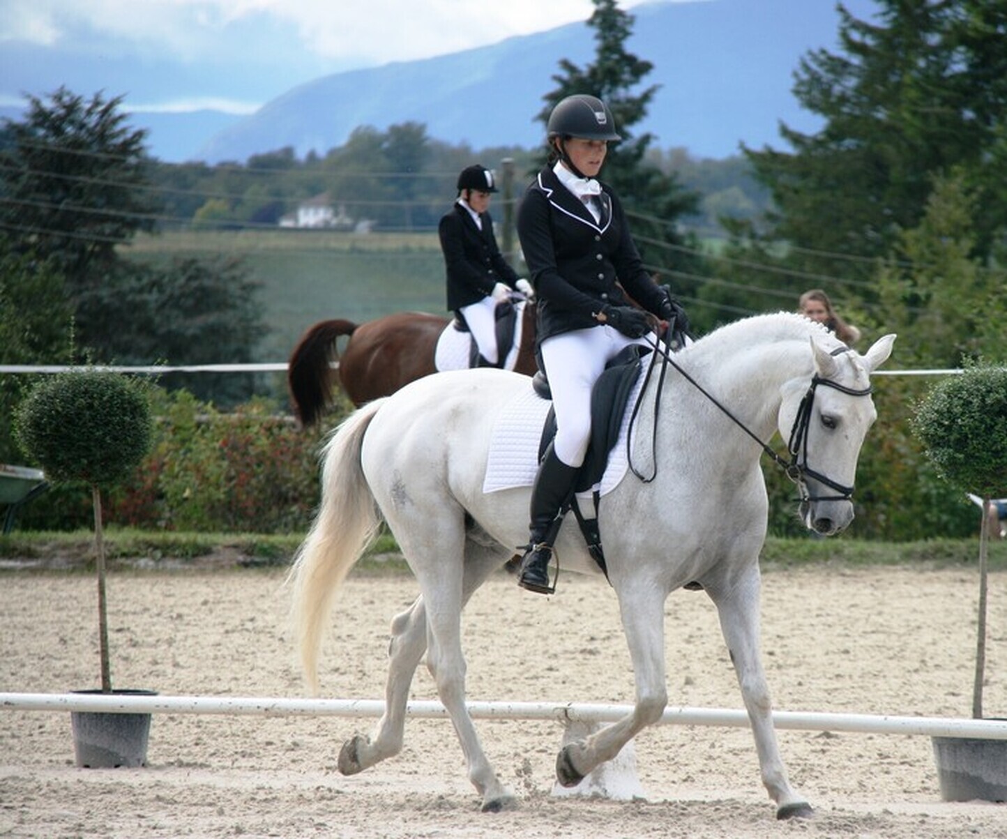 Description de l'image