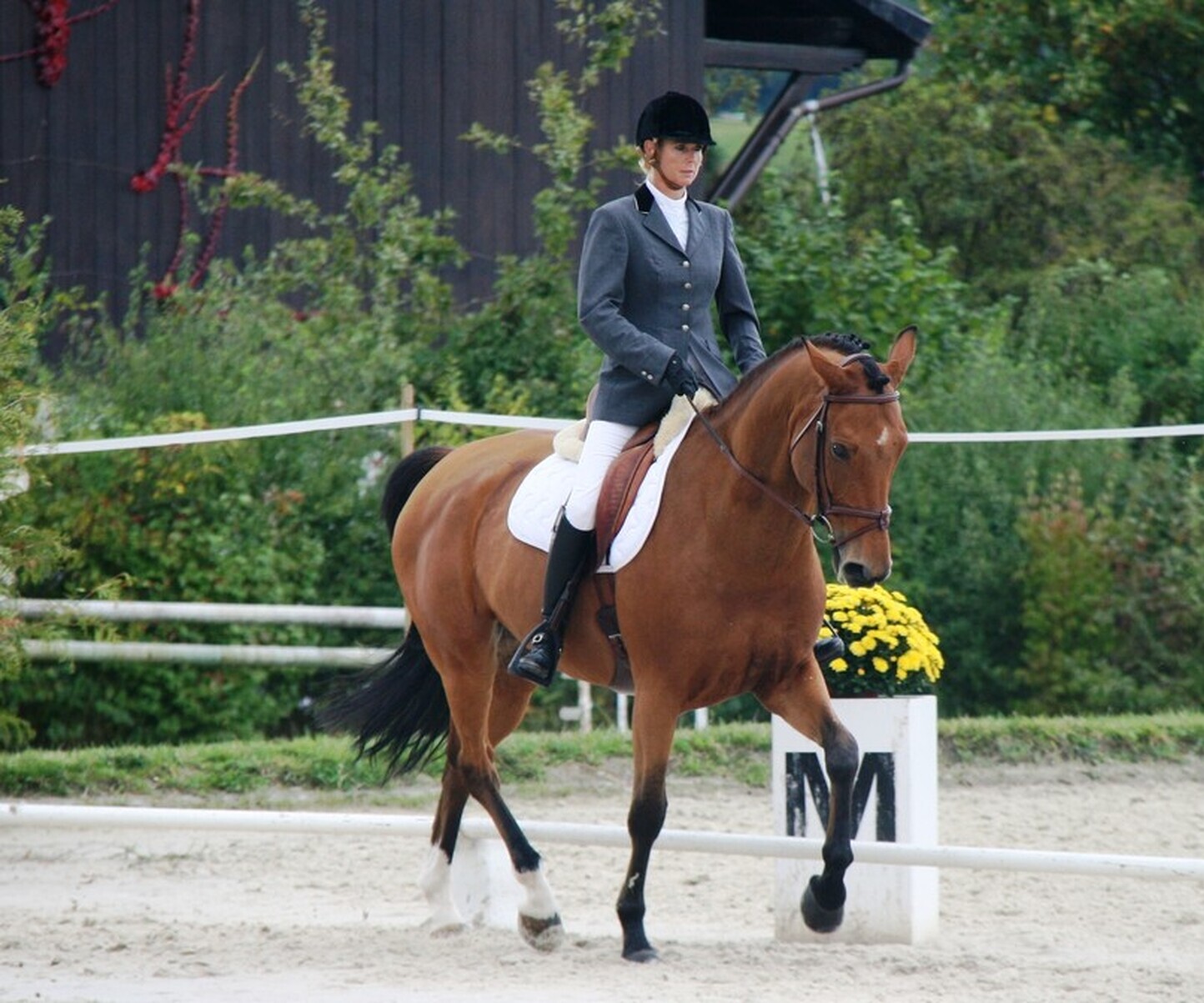 Description de l'image