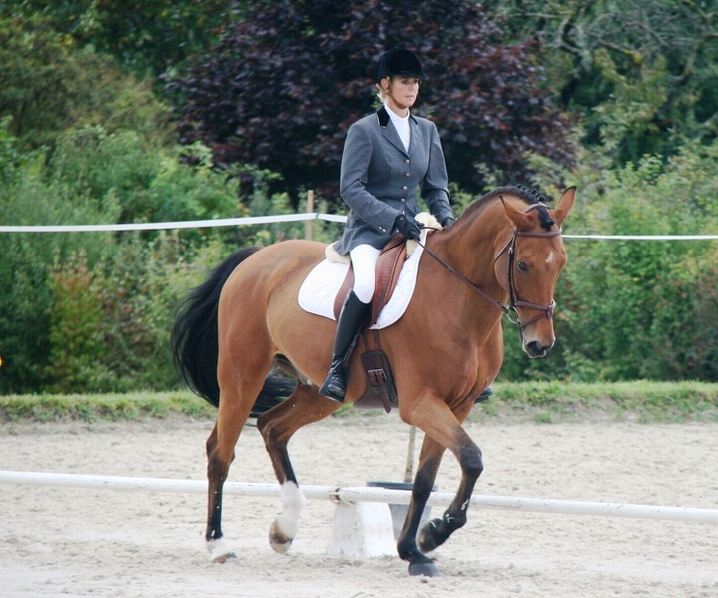 Description de l'image