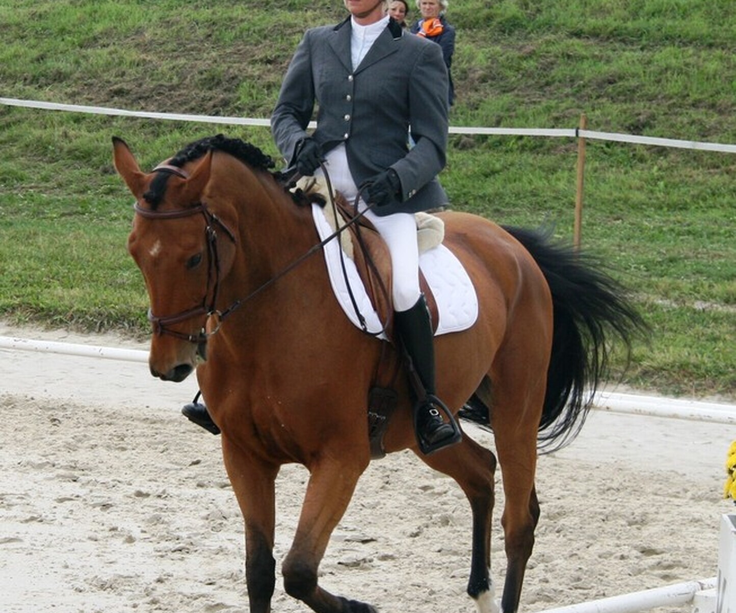 Description de l'image