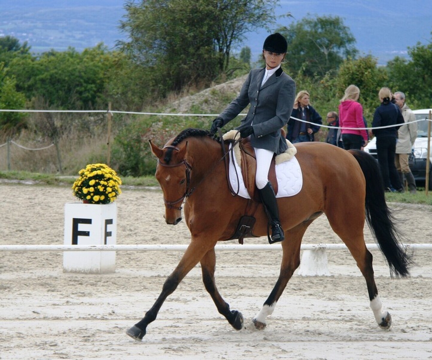 Description de l'image