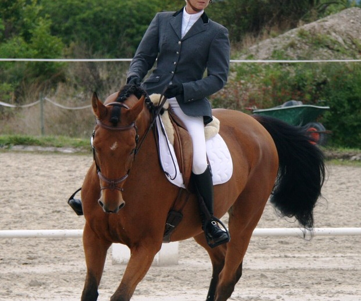 Description de l'image