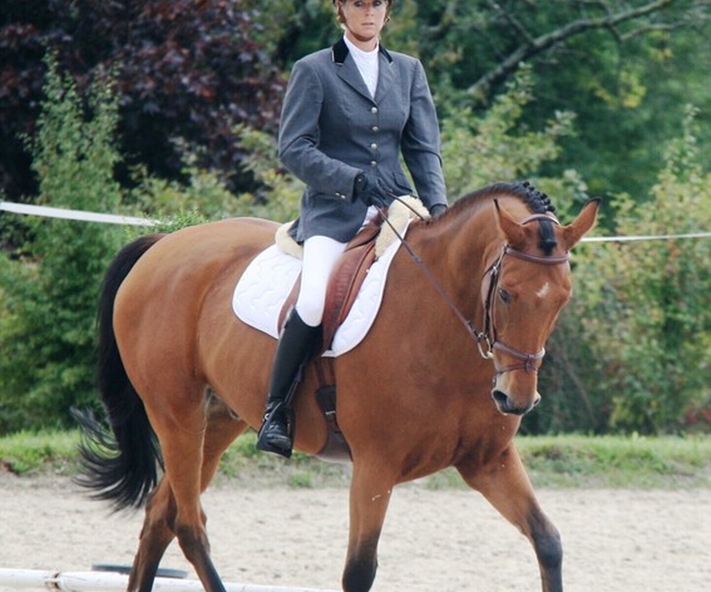 Description de l'image